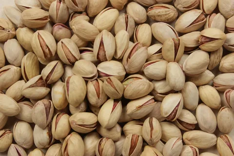 تصویر 3 از پسته فندقی صادراتی با کیفیت پایدار